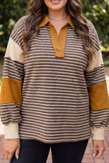 Colorblock Detail Collar V Neck Plus Size Long Sleeve Top – Brown Stripe