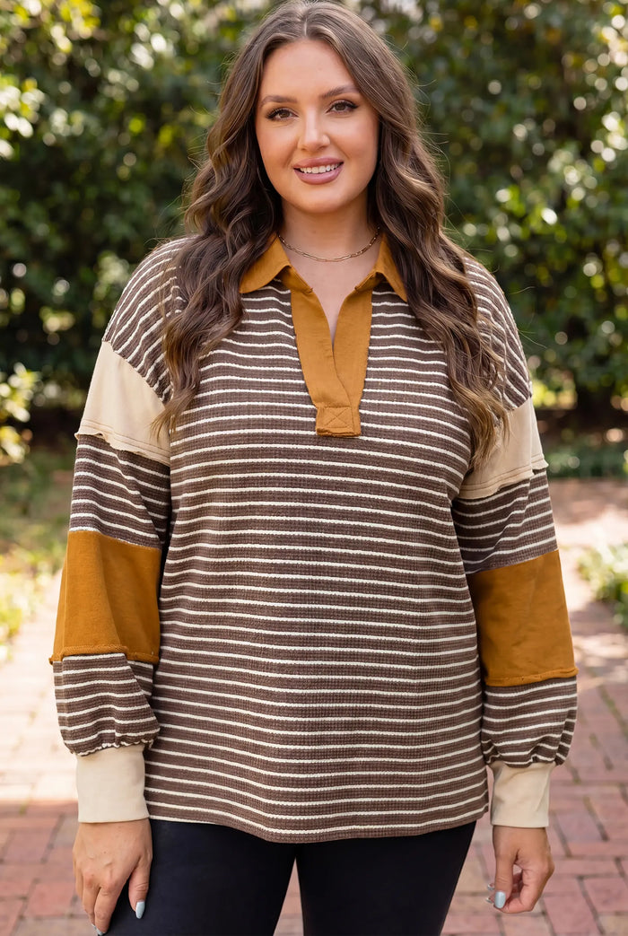Colorblock Detail Collar V Neck Plus Size Long Sleeve Top – Brown Stripe