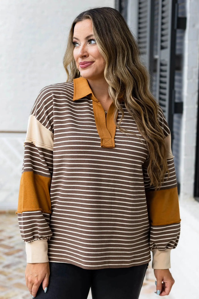 Colorblock Detail Collar V Neck Plus Size Long Sleeve Top – Brown Stripe