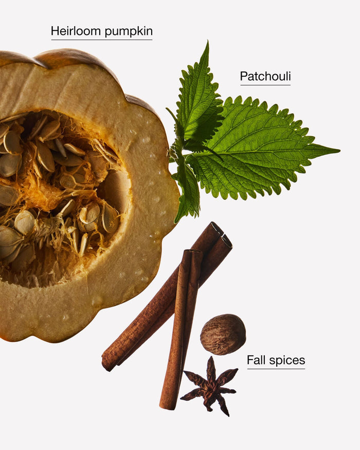 Composición de calabaza y especias que ilustra el aroma de Farmhouse Pumpkin & Spice