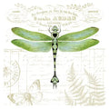 Flour Sack Towel - Dragonfly