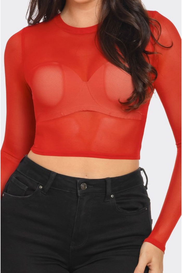 Meia......Mesh Long Sleeve Crop Top