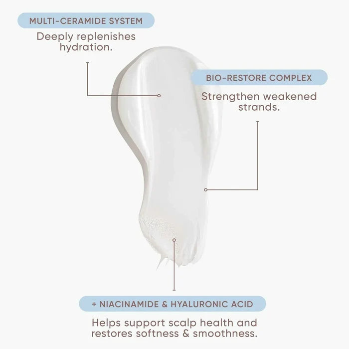 Nak Ceramide Restore Ends Leave-in Conditioner