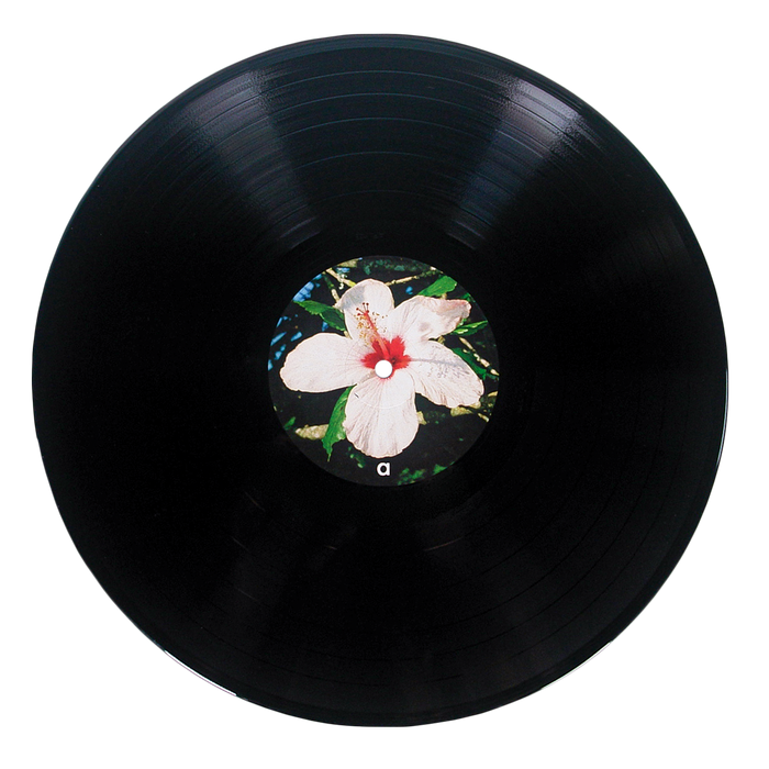 A black vinyl album by Alice Phoebe Lou featuring a center label with a white hibiscus flower, red center, and green leaves, inspired by the art on her Oblivion vinyl.