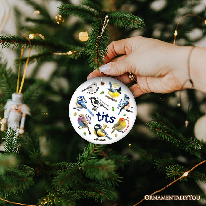 Whimsical Bird Tit Ceramic Ornament, Funny Birdwatcher Gift for Birder Ceramic Ornament OrnamentallyYou